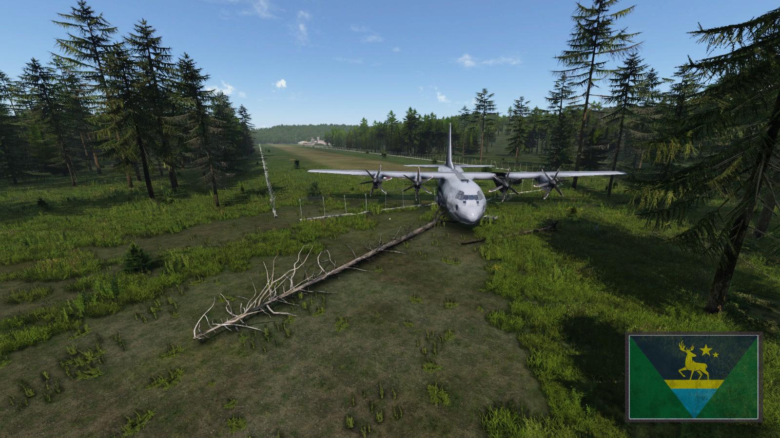 county airstrip4.jpg